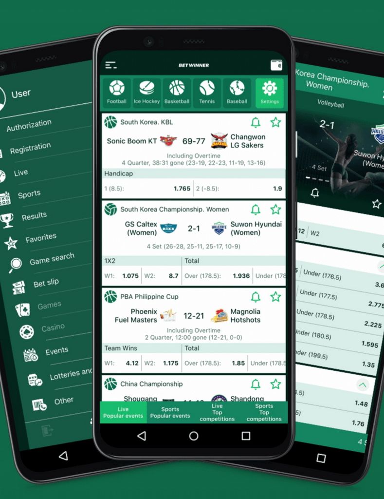 BetWinner: Online Sports Betting and Gambling Enterprise