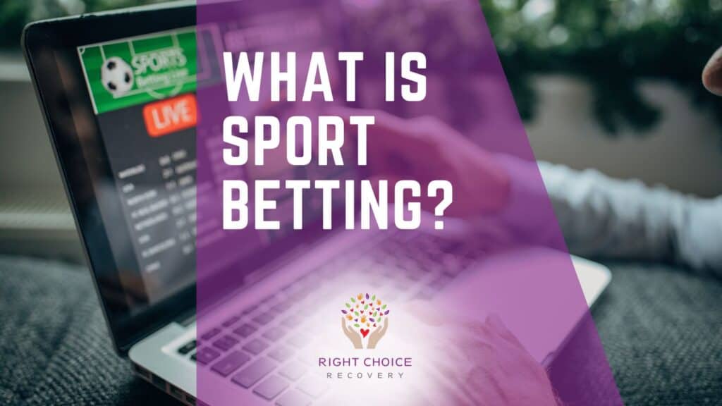 Top New Casino Sites This Year 11